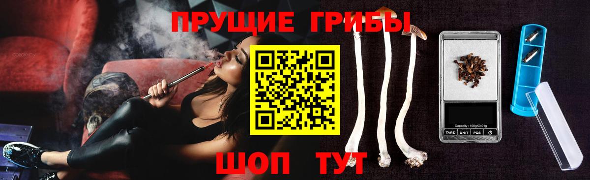 Псилоцибиновые грибы MAGIC MUSHROOMS  Вход с VPN  Унеча  наркотики  Псилоцибиновые грибы MAGIC MUSHROOMS 